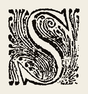 Ornament 0829