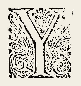 Ornament 0830