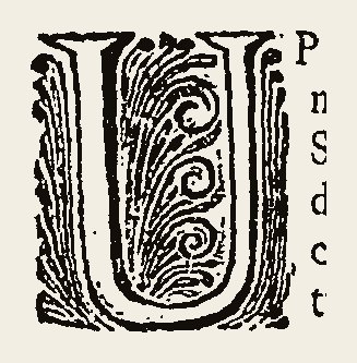 Ornament 0831