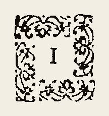 Ornament 0832