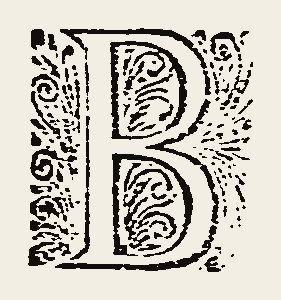 Ornament 0836