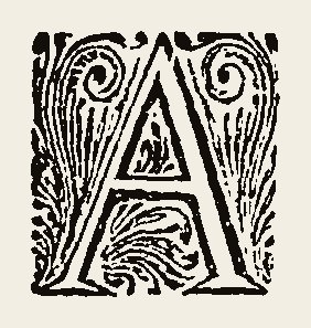 Ornament 0839
