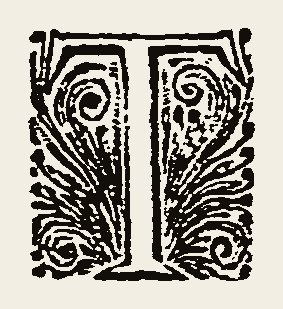 Ornament 0847