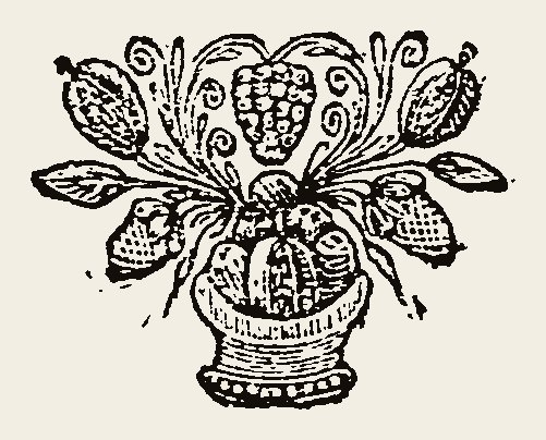 Ornament 0855