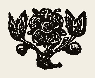 Ornament 0858