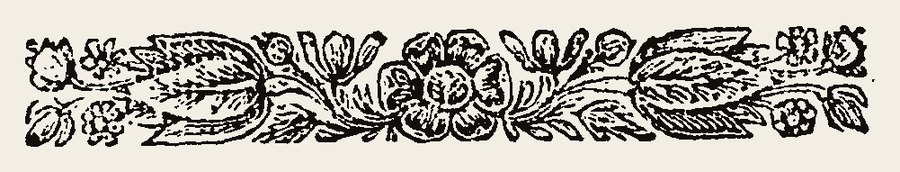 Border 1806