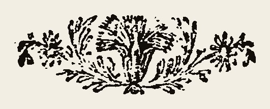 Border 1807
