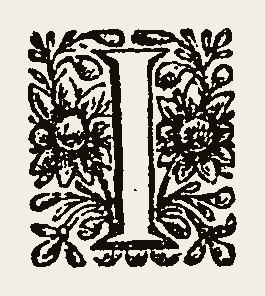 Ornament 0860