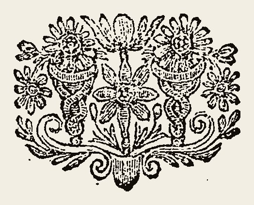 Ornament 0863