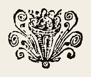 Ornament 0866