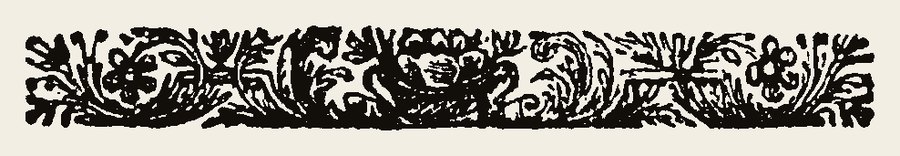 Border 1815