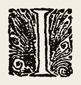 Ornament 0869