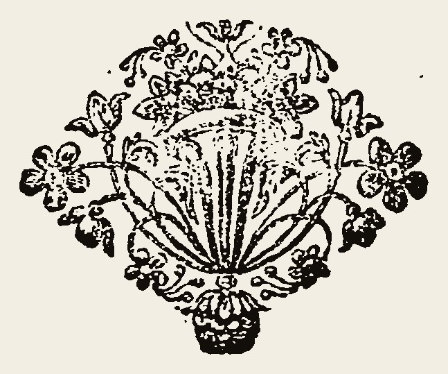 Ornament 0870
