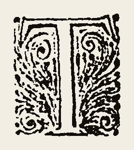 Ornament 0872