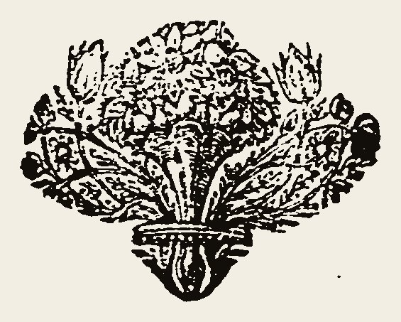 Ornament 0874