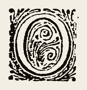 Ornament 0881