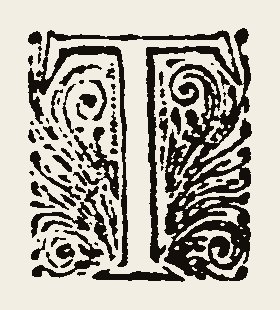 Ornament 0884