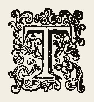 Ornament 0889
