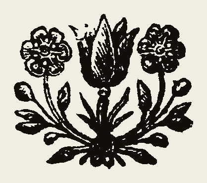Floral 0111