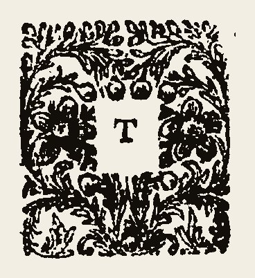 Ornament 0891