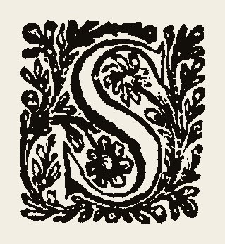 Ornament 0893