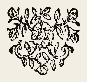 Ornament 0894