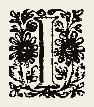 Ornament 0896