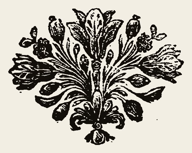 Ornament 0897