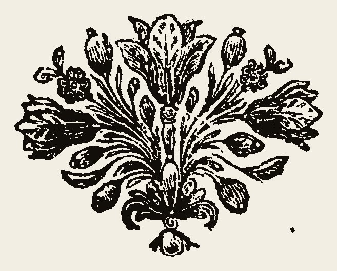 Ornament 0901