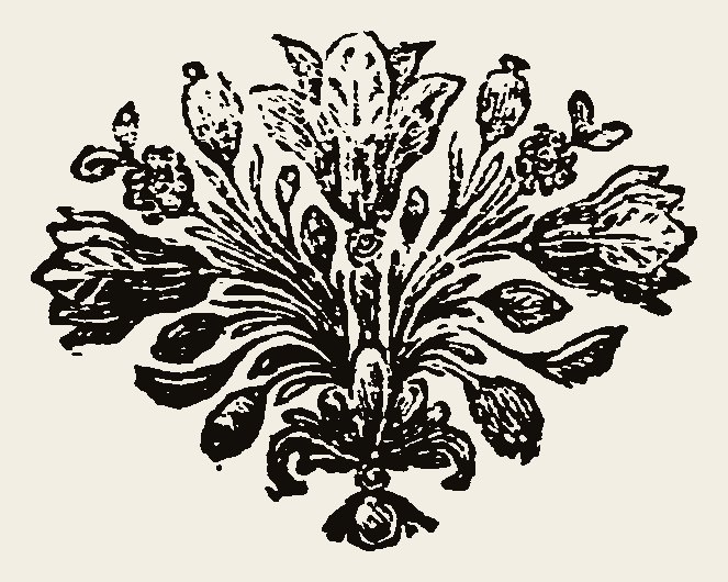 Ornament 0903