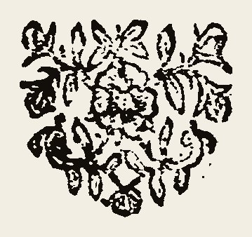 Ornament 0907