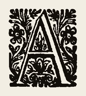 Ornament 0913
