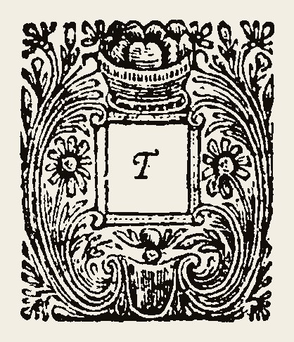 Ornament 0918
