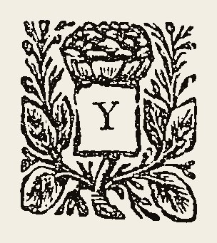 Ornament 0920