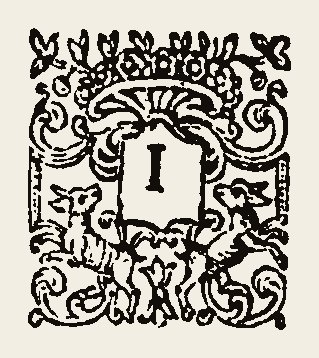 Ornament 0927