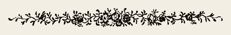 Border 1924