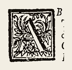 Ornament 0956