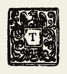 Ornament 0980