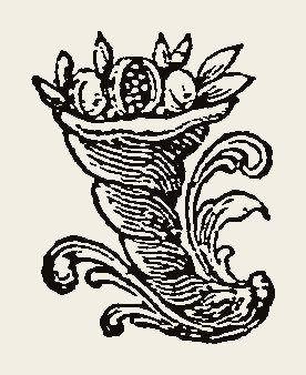 Ornament 0991
