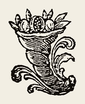 Ornament 0993