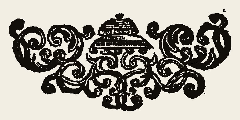Border 2064