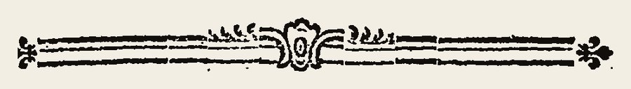 Border 2096