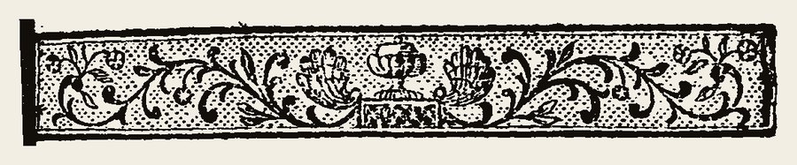Border 2119