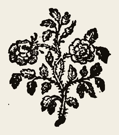 Ornament 1050