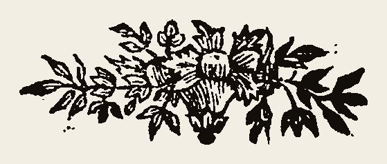 Floral 0191
