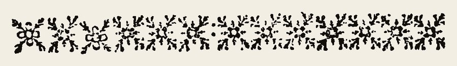 Border 2126