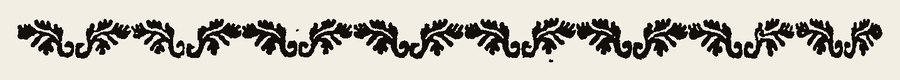 Border 2160