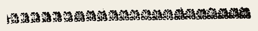 Border 2205
