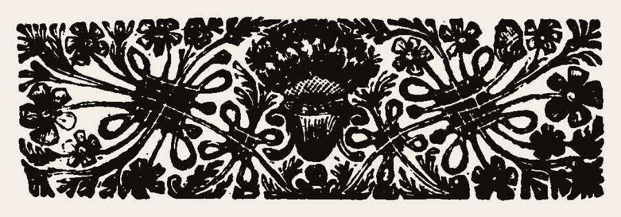Border 2213