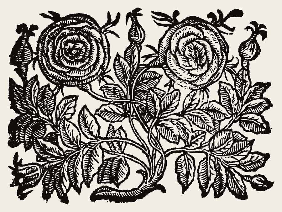 Wreath 0204